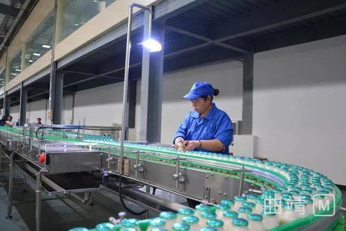 陸良現代化廠區投資2.8億，企業管理服務助力試生產階段高效運行